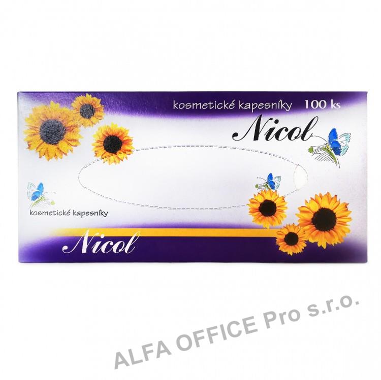 Kapesníčky papírové kosmetické - dvouvrstvé  100 ks