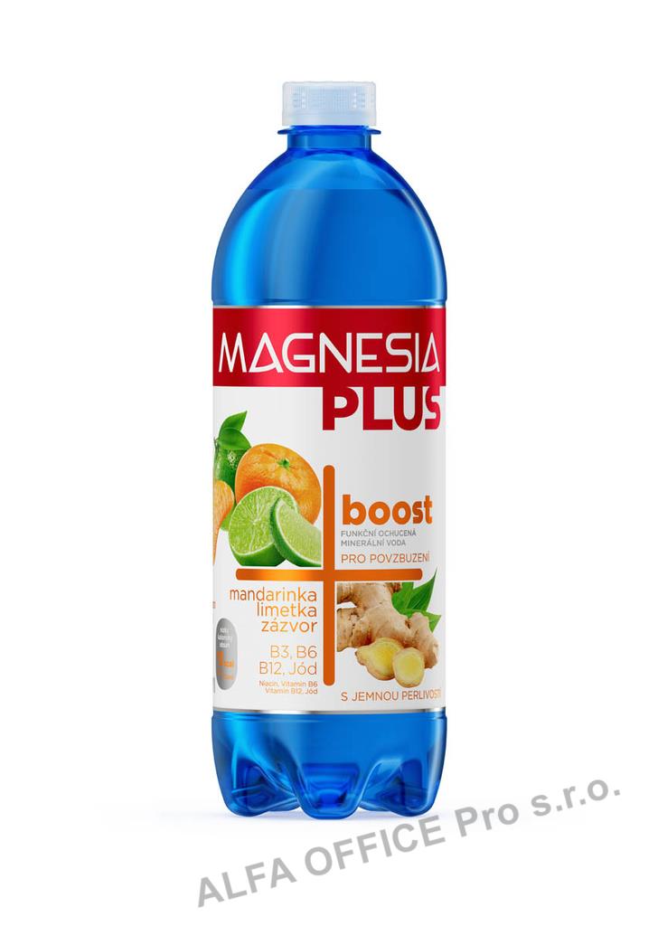 Magnesia Plus - Boost / 700 ml